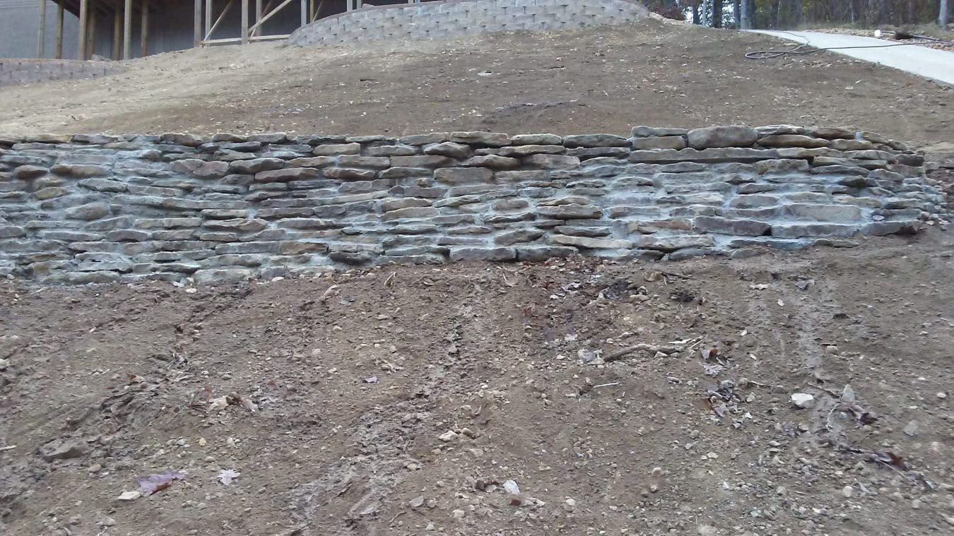 budget friendly landscaping