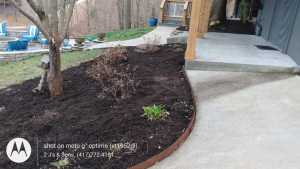 Black mulch installed around landscape plants
