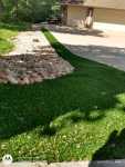 no mow turf, landscaping services